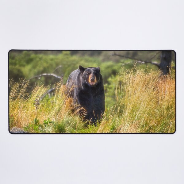 Item preview, Running Bear designed and sold by Kathy Weaver.
