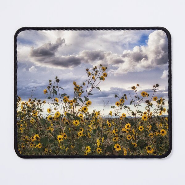 Item preview, Wild Sunflowers - New Mexico designed and sold by Kathy Weaver.
