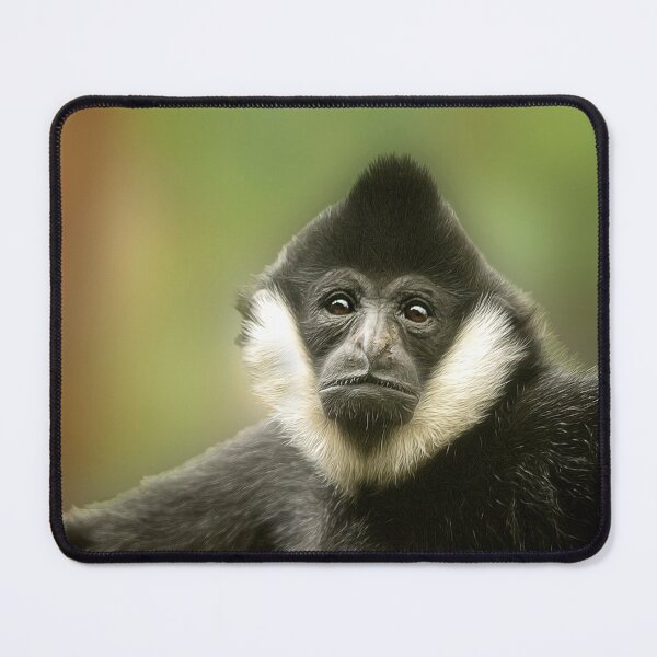 Item preview, Colobus Monkey designed and sold by Kathy Weaver.