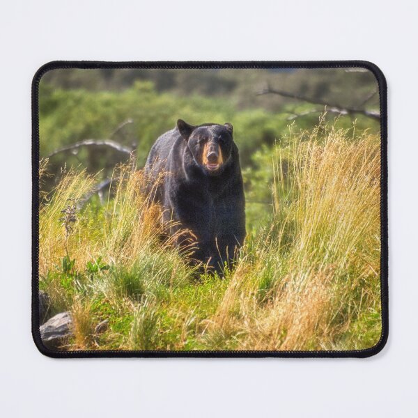 Item preview, Running Bear designed and sold by Kathy Weaver.