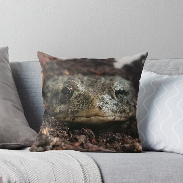 Item preview, Small western toad designed and sold by Tomfrost242.