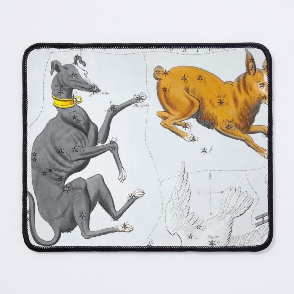 Item preview, Antique Constellation Map of Canis Major, Lepus, Columba, Caelum designed and sold by VintageArchive.