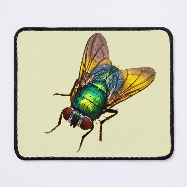 Item preview, The Fly designed and sold by Kathy Weaver.