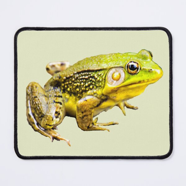 Item preview, Frog designed and sold by Kathy Weaver.