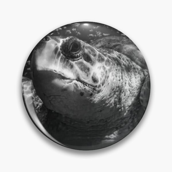 Item preview, Giant Turtle designed and sold by EcDigitalPhoto.