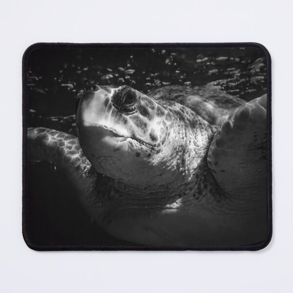 Item preview, Giant Turtle designed and sold by EcDigitalPhoto.