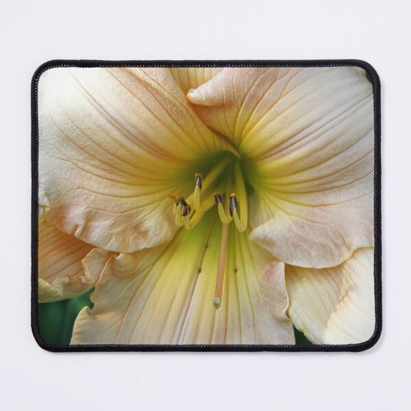 Item preview, Lily Flower designed and sold by Robin King.
