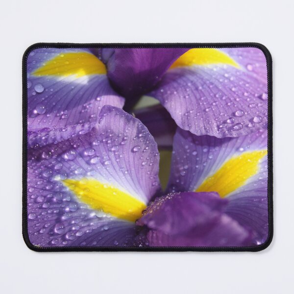 Item preview, Raindrops on Purple Iris Flowers designed and sold by Robin King.