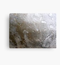 Even the Poorest Thing Shines III Metal Print