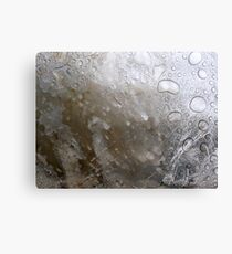Even the Poorest Thing Shines III Canvas Print