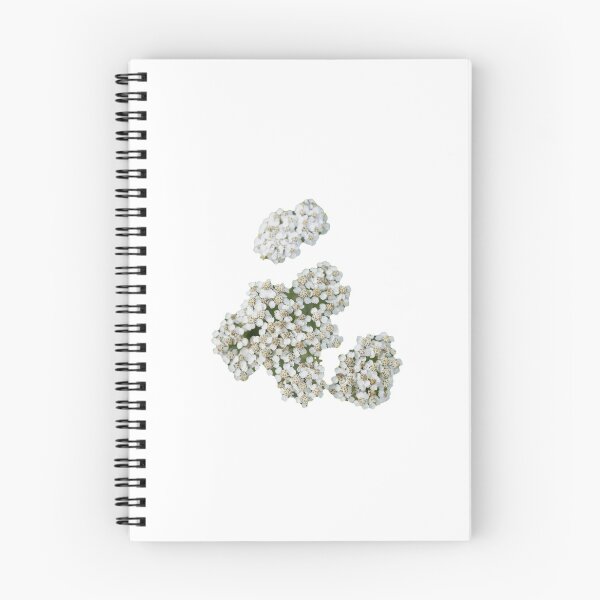 Item preview, Common yarrow Beutiful Flower designed and sold by RolandWidin.