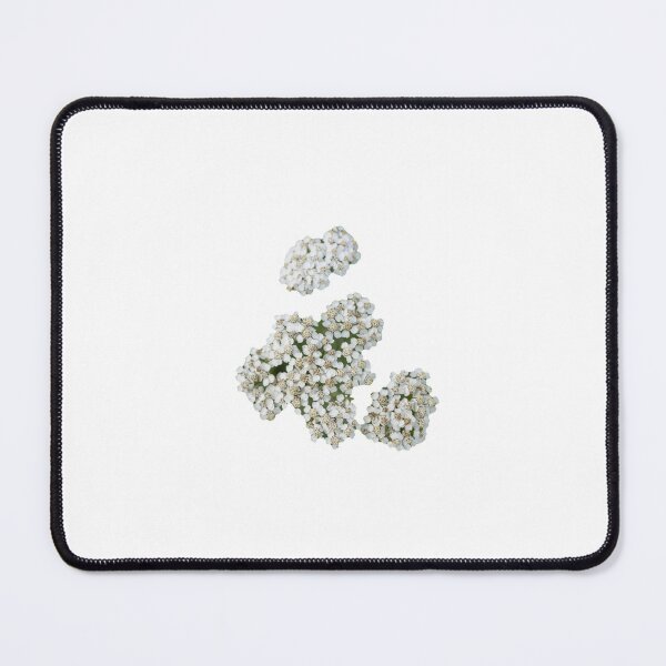 Item preview, Common yarrow Beutiful Flower designed and sold by RolandWidin.