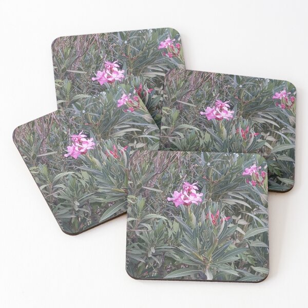 Item preview, Fuchsia roses designed and sold by Maitedo.