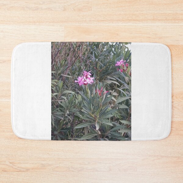 Item preview, Fuchsia roses designed and sold by Maitedo.