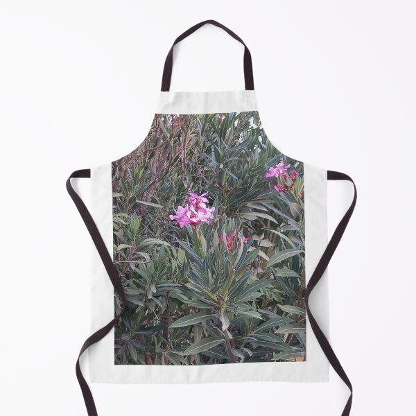 Item preview, Fuchsia roses designed and sold by Maitedo.