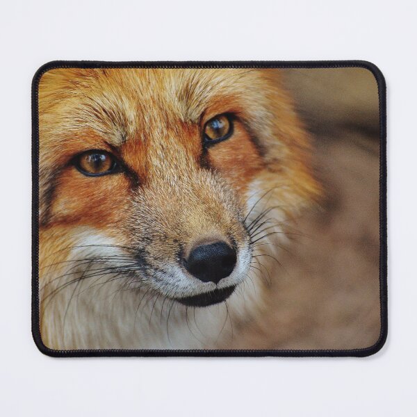 Item preview, Red fox designed and sold by OrionPhotograph.