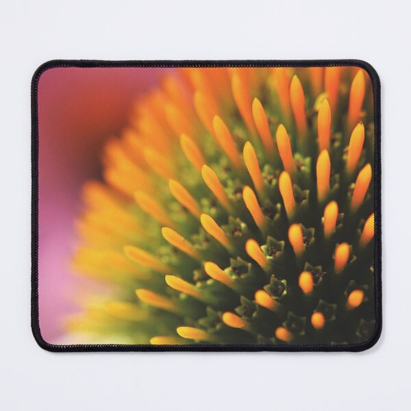Item preview, White Swan Coneflower (Echinacea) designed and sold by Kathleen Daley.
