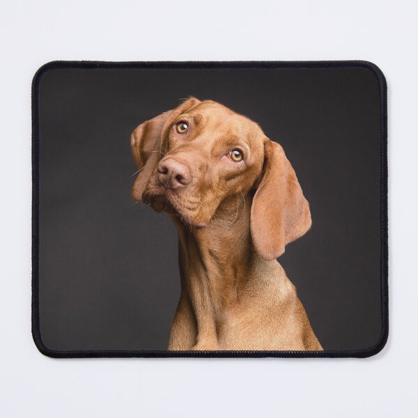 Item preview, Dog designed and sold by OrionPhotograph.