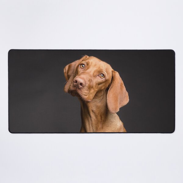 Item preview, Dog designed and sold by OrionPhotograph.