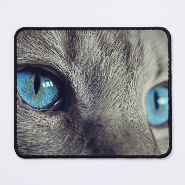Item preview, Look designed and sold by OrionPhotograph.