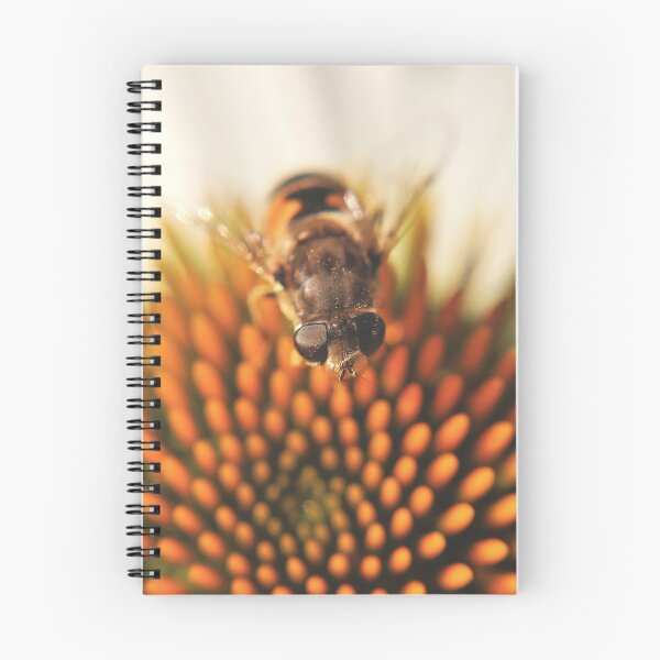 Item preview, Hoverfly (Syrphidae) designed and sold by Kathleen Daley.