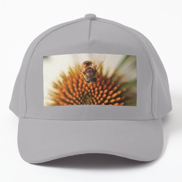 Hoverfly (Syrphidae) Baseball Cap