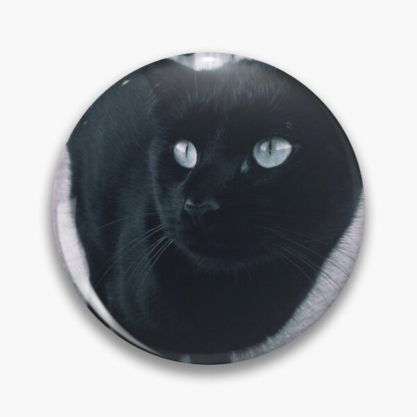 Item preview, A Classy Cat designed and sold by jnbr.