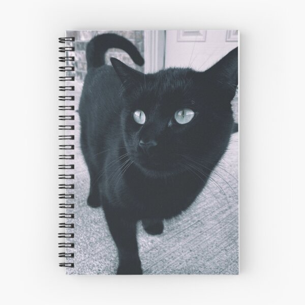 Item preview, A Classy Cat designed and sold by jnbr.