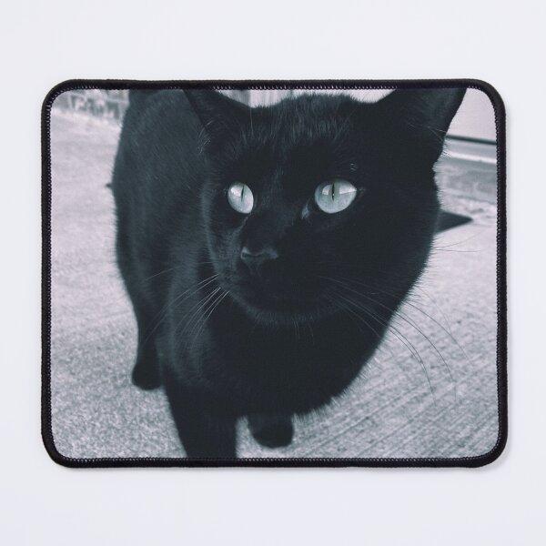 Item preview, A Classy Cat designed and sold by jnbr.