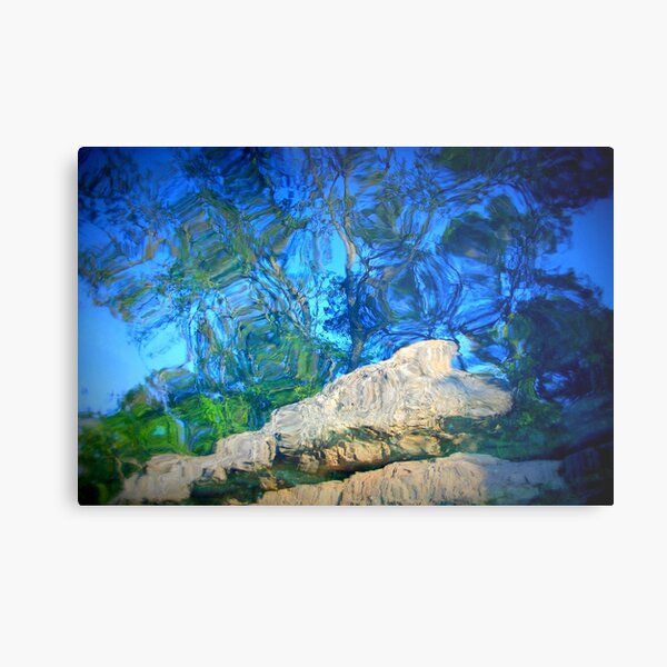 Reflections Metal Print