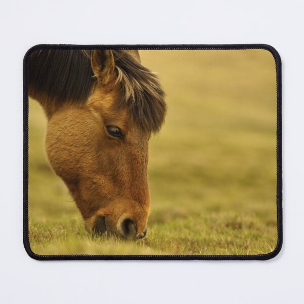 Item preview, Horse designed and sold by OrionPhotograph.