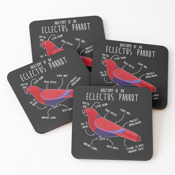 Item preview, Female Eclectus Anatomy designed and sold by Clara Hollins.