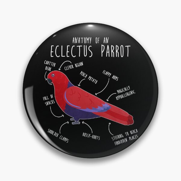 Item preview, Female Eclectus Anatomy designed and sold by Clara Hollins.