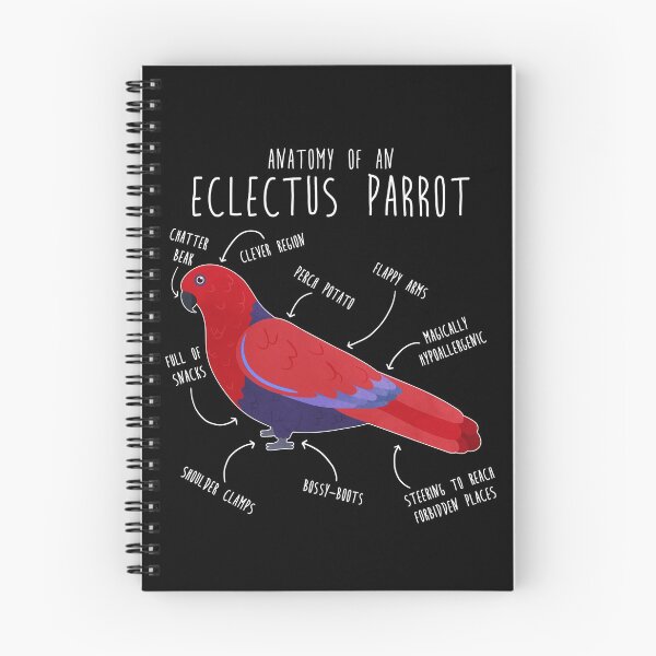 Item preview, Female Eclectus Anatomy designed and sold by Clara Hollins.