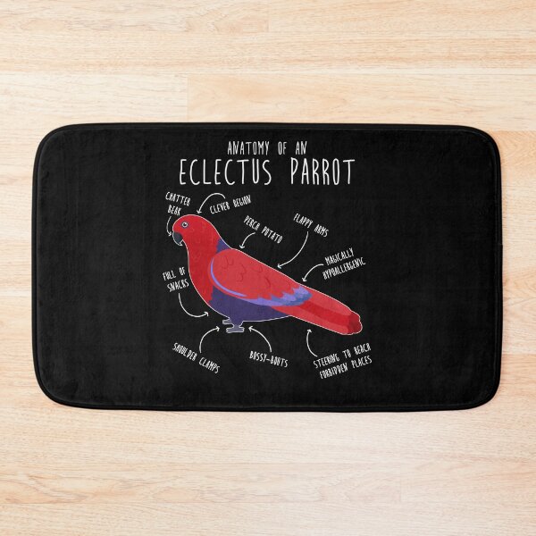 Item preview, Female Eclectus Anatomy designed and sold by Clara Hollins.