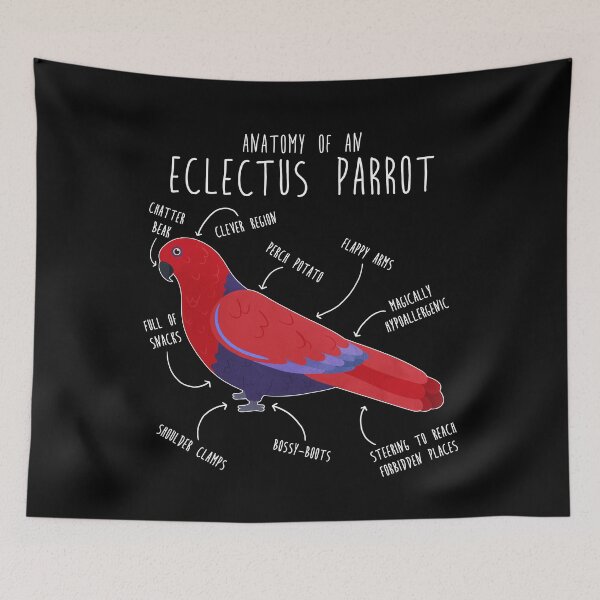 Item preview, Female Eclectus Anatomy designed and sold by Clara Hollins.