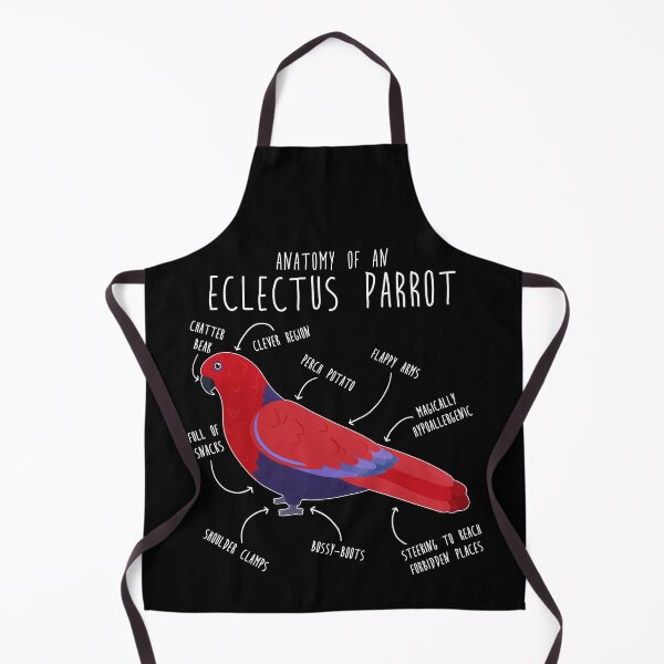 Item preview, Female Eclectus Anatomy designed and sold by Clara Hollins.