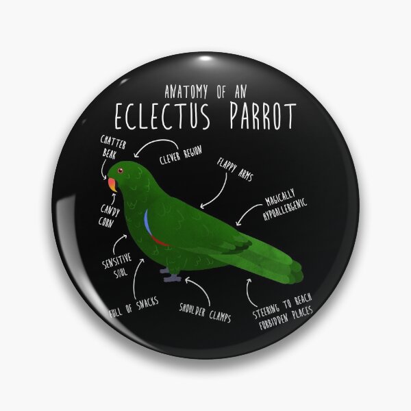 Item preview, Male Eclectus Anatomy designed and sold by Clara Hollins.
