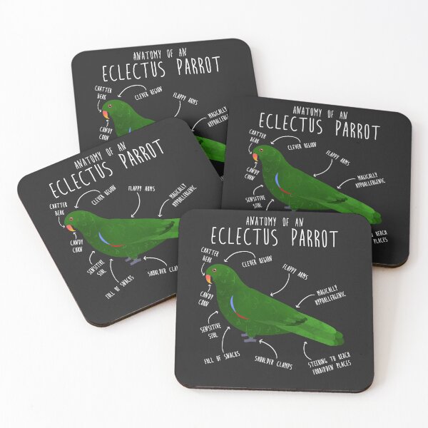 Item preview, Male Eclectus Anatomy designed and sold by Clara Hollins.