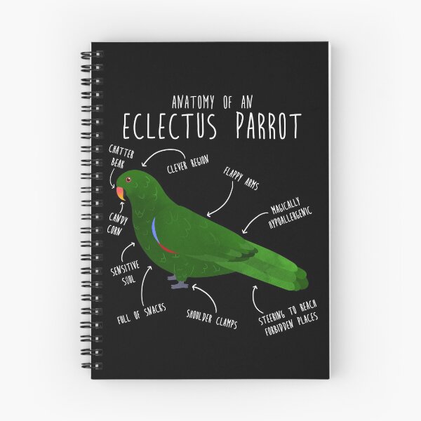 Item preview, Male Eclectus Anatomy designed and sold by Clara Hollins.