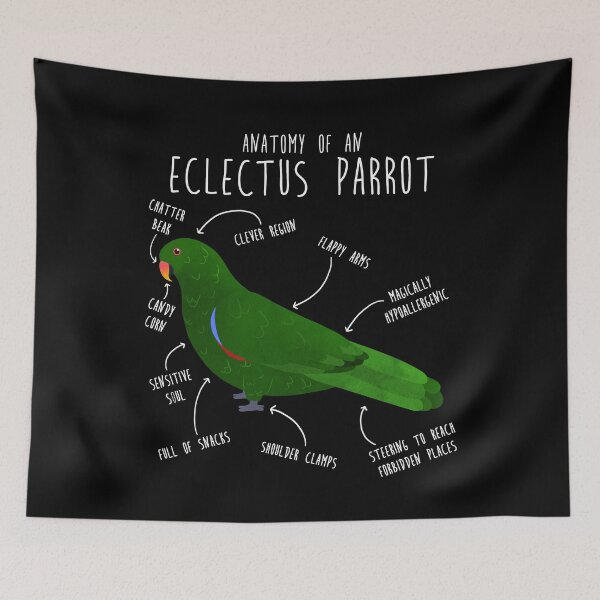 Item preview, Male Eclectus Anatomy designed and sold by Clara Hollins.