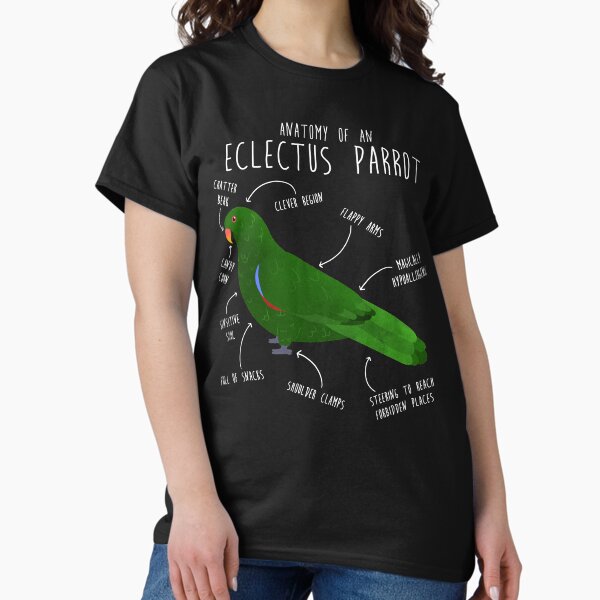 Item preview, Male Eclectus Anatomy designed and sold by Clara Hollins.