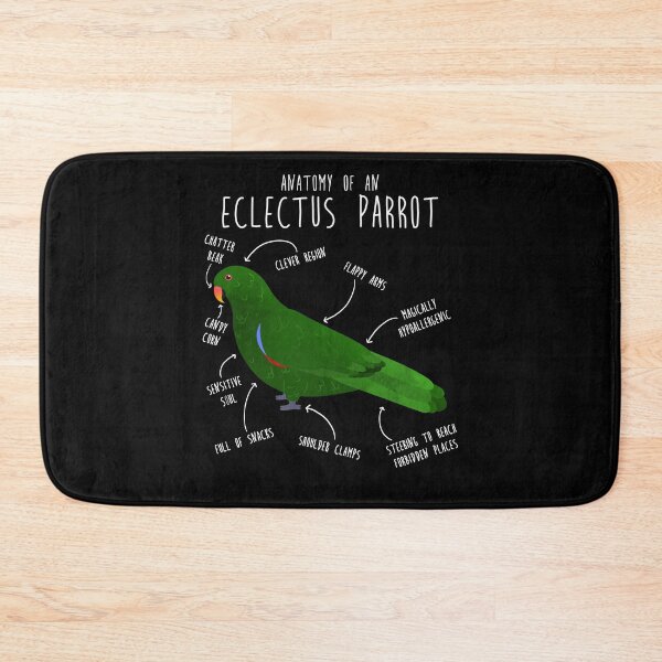 Item preview, Male Eclectus Anatomy designed and sold by Clara Hollins.