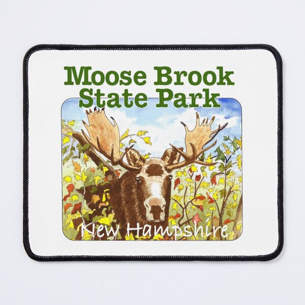 Item preview, Parque estatal Moose Brook, Nueva Hampshire designed and sold by MMc Buck.