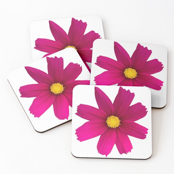 Item preview, Rosa Cosmos Flor Bodegón Fotografía Floral designed and sold by CottoVerdi.