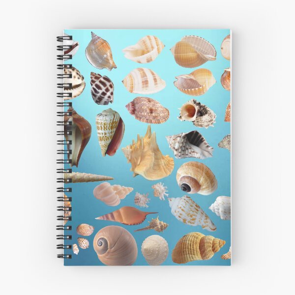 Item preview, Assorted Seashells designed and sold by rahman-7.