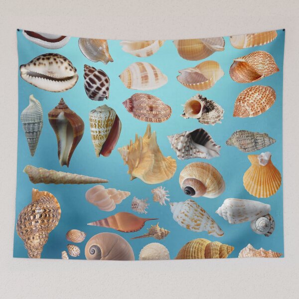 Item preview, Assorted Seashells designed and sold by rahman-7.