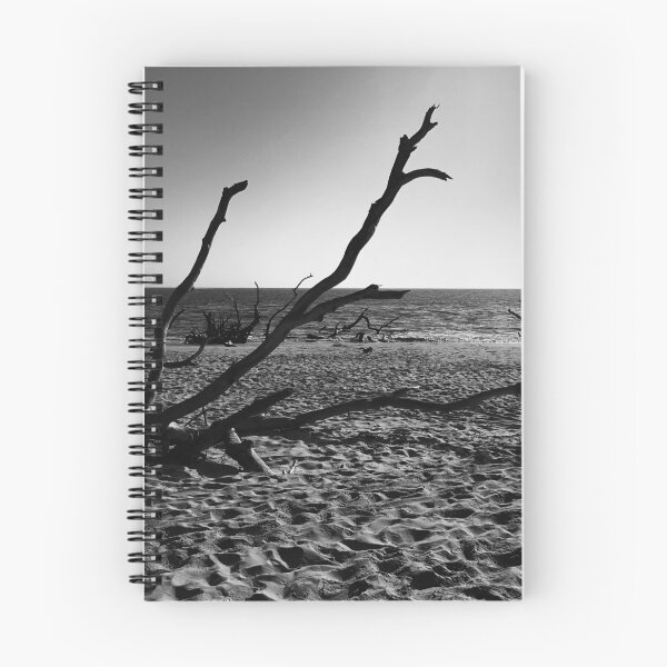 Item preview, Jacksonville, Florida Beach designed and sold by Photogenny.