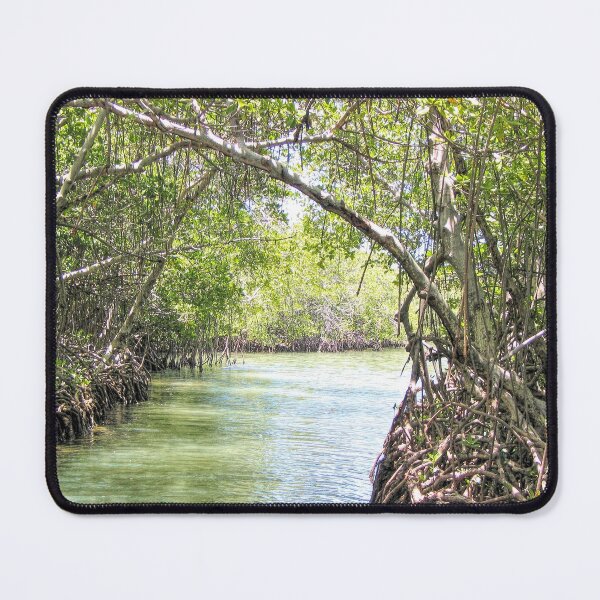 Item preview, Mangroves Puerto Rico designed and sold by Elisabeth Lucas.