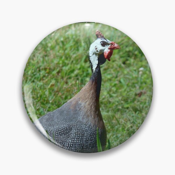 Item preview, Guinea hen designed and sold by chstudios.